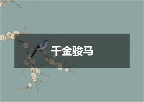 千金骏马