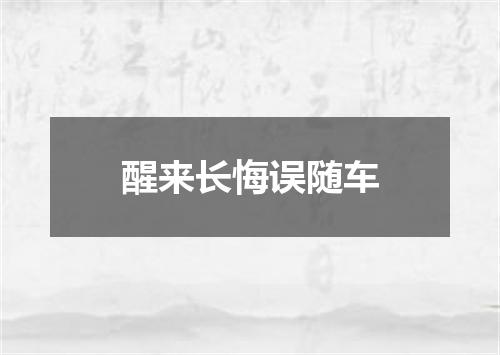 醒来长悔误随车
