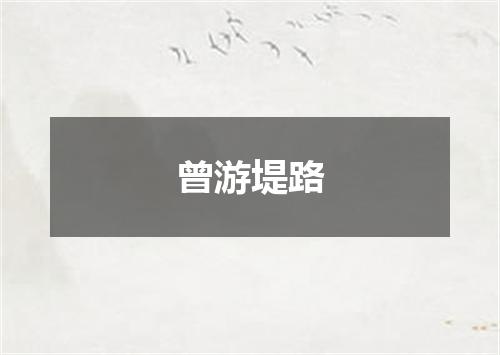 曾游堤路