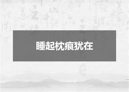 睡起枕痕犹在