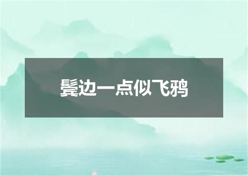 鬓边一点似飞鸦