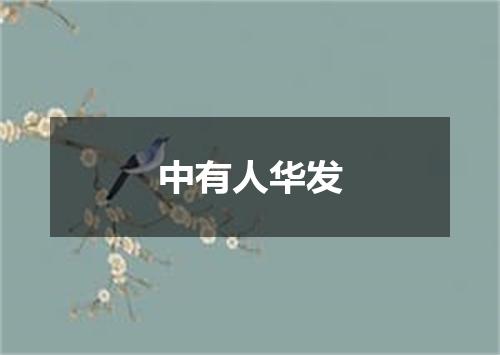 中有人华发