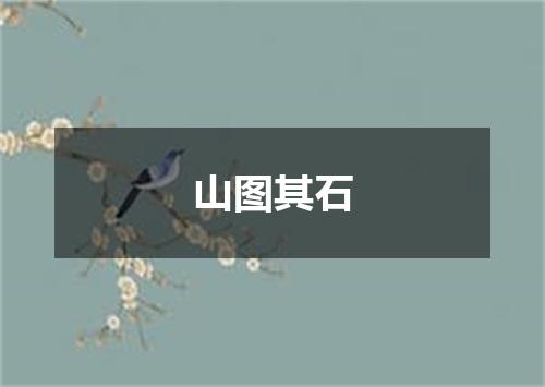 山图其石