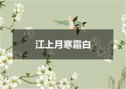 江上月寒霜白