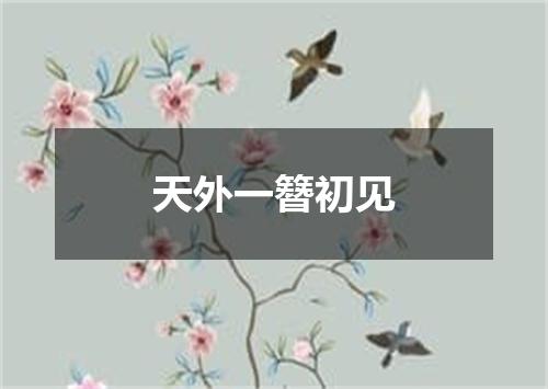 天外一簪初见