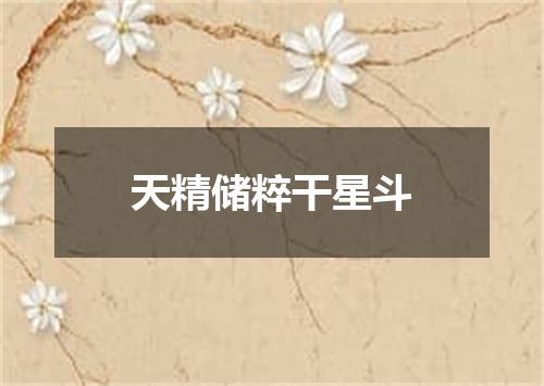 天精储粹干星斗