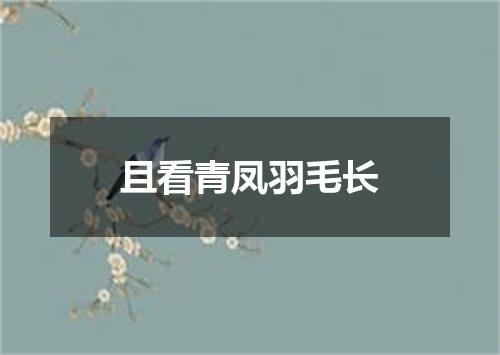 且看青凤羽毛长