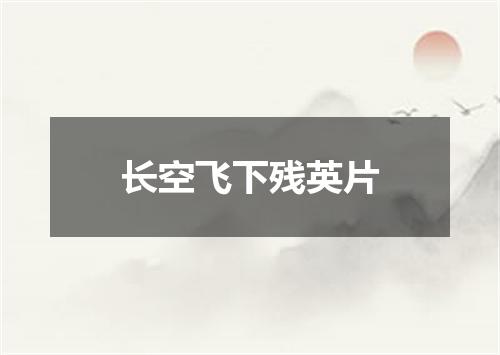 长空飞下残英片