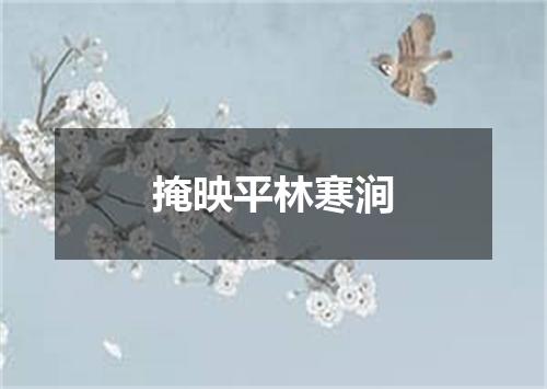 掩映平林寒涧