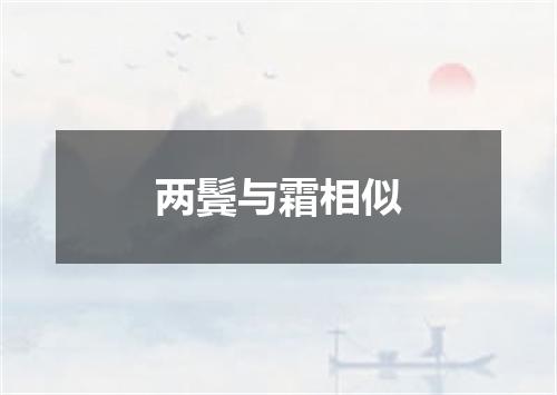 两鬓与霜相似