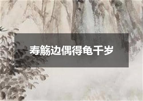寿觞边偶得龟千岁