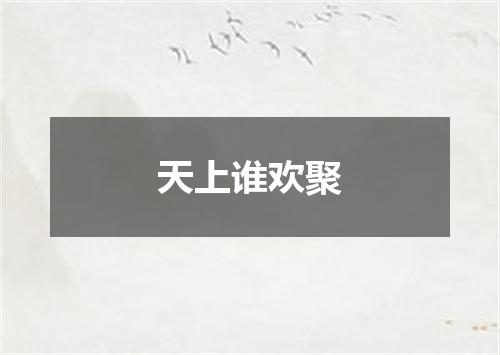天上谁欢聚