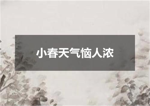 小春天气恼人浓