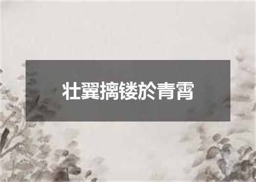 壮翼摛镂於青霄