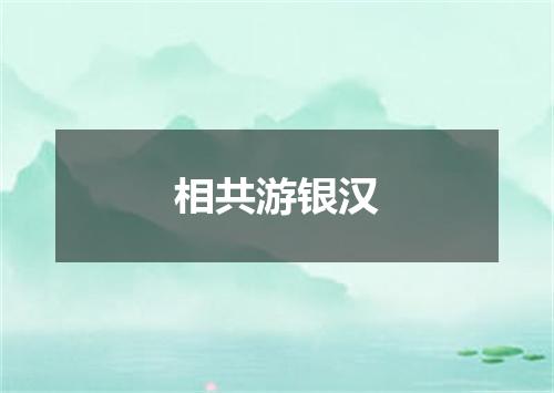 相共游银汉