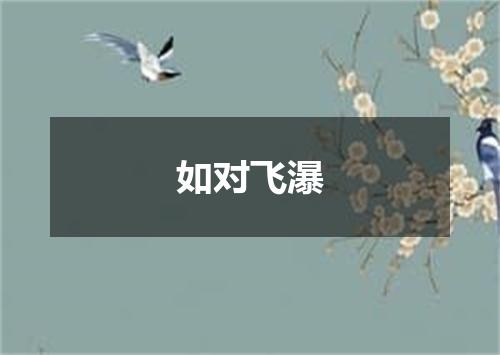 如对飞瀑