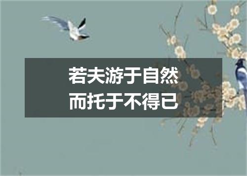 若夫游于自然而托于不得已