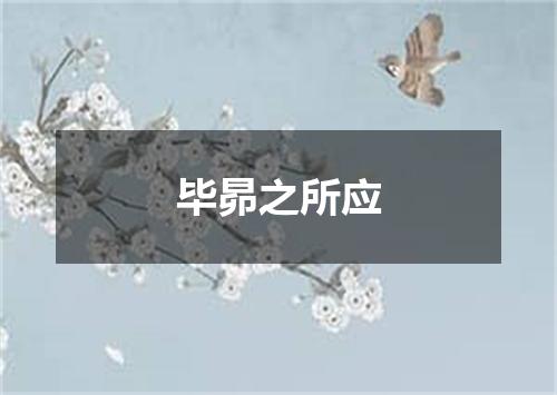 毕昴之所应