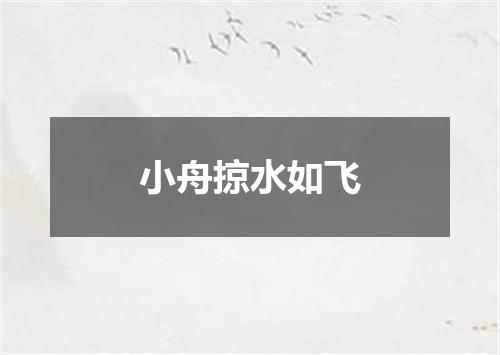 小舟掠水如飞