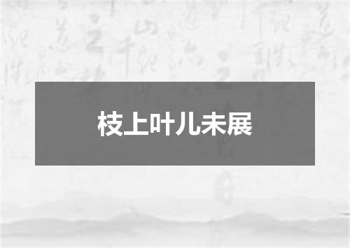 枝上叶儿未展