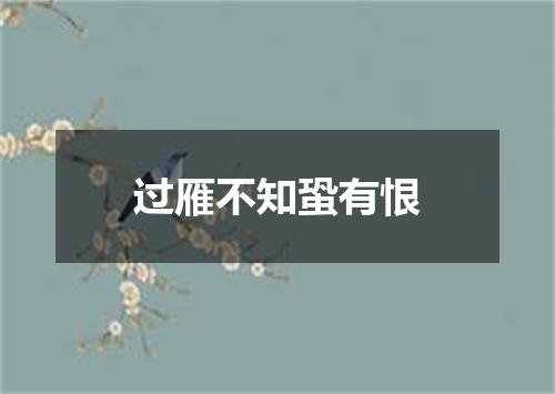 过雁不知蛩有恨