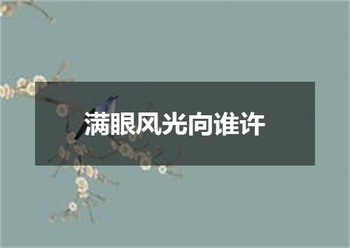 满眼风光向谁许