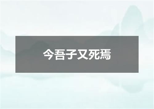 今吾子又死焉
