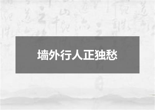 墙外行人正独愁