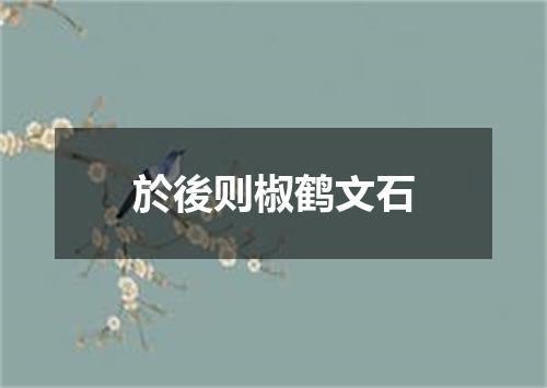 於後则椒鹤文石