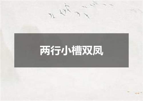 两行小槽双凤