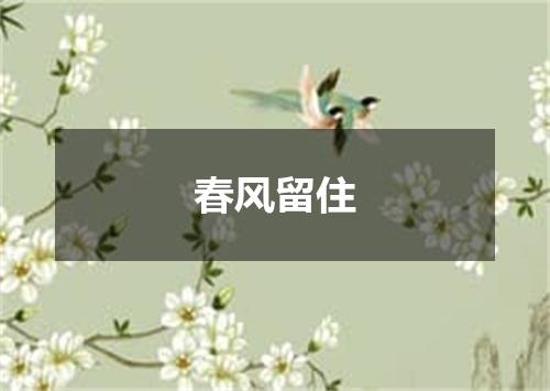 春风留住