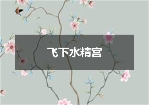 飞下水精宫