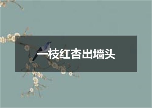 一枝红杏出墙头