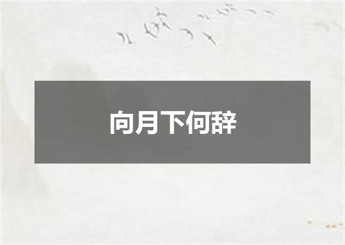 向月下何辞