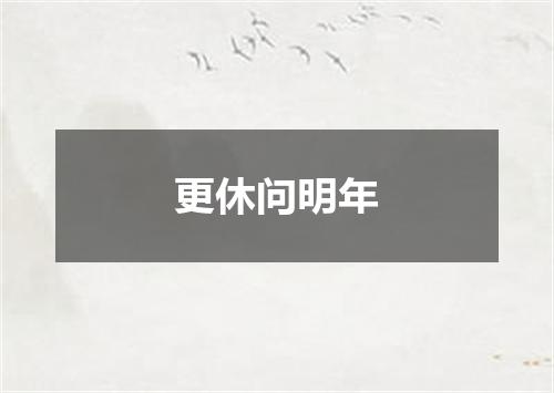 更休问明年