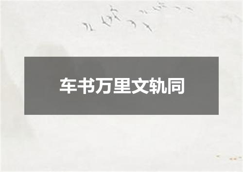 车书万里文轨同
