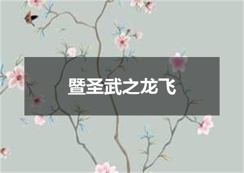 暨圣武之龙飞