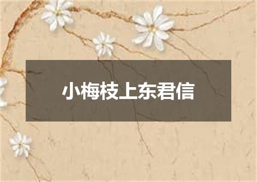 小梅枝上东君信