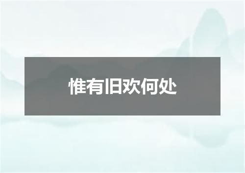 惟有旧欢何处
