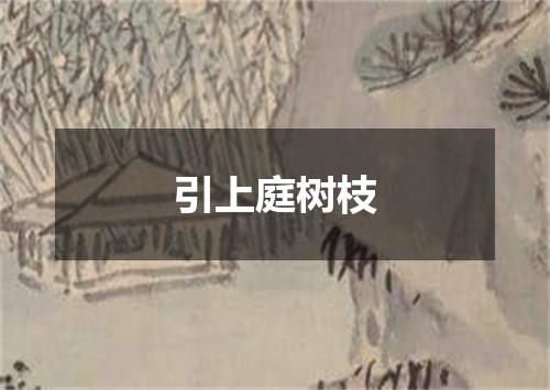 引上庭树枝