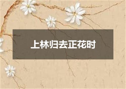 上林归去正花时