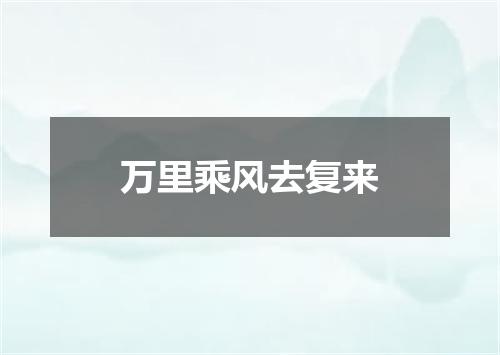 万里乘风去复来