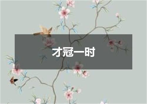 才冠一时