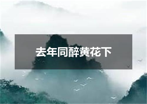 去年同醉黄花下