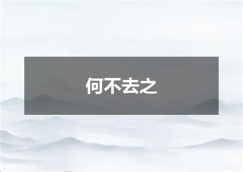 何不去之