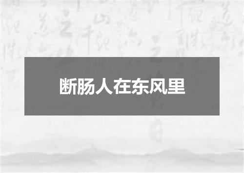 断肠人在东风里