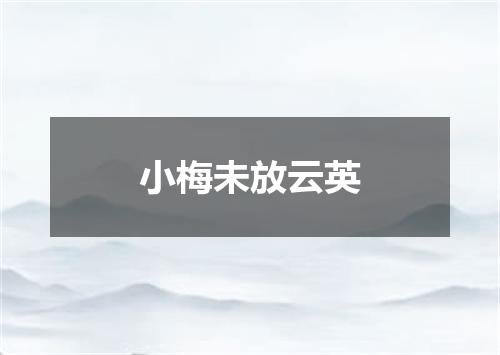 小梅未放云英