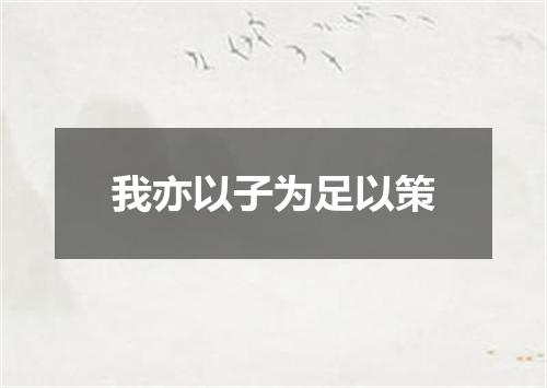 我亦以子为足以策