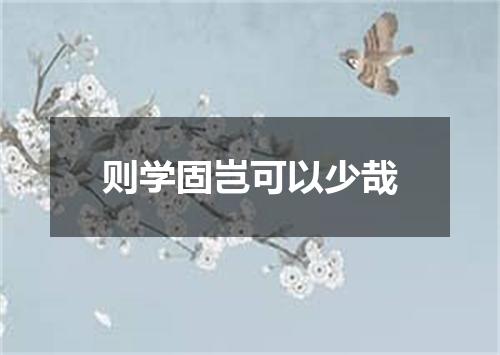则学固岂可以少哉