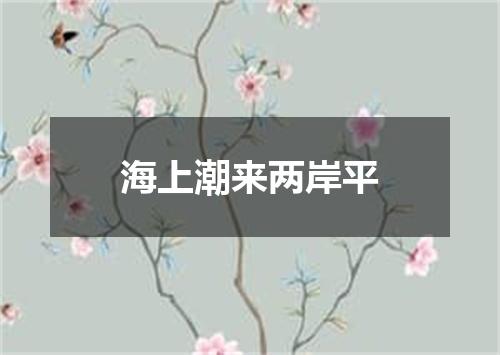 海上潮来两岸平